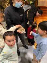 -Zoolung Zoolung动物主题公园(海信广场店)