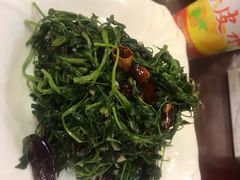 -有家驴肉黄面(敦煌店)