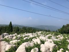 -原山国家森林公园