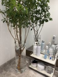 -智美品质医美