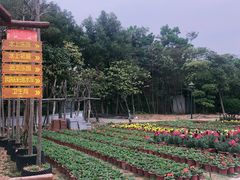 -揭东万竹园旅游景区