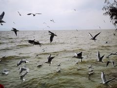 -捞渔河湿地公园
