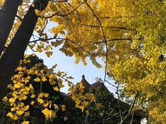 -三圣花乡旅游区