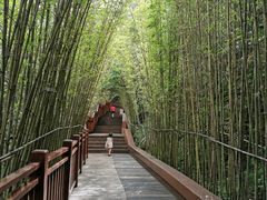 -天河潭旅游度假区