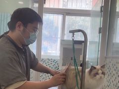 -悦宠凯宝动物医院·牙科·皮肤科(朝阳北路店)