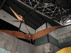 -湖南省地质博物馆