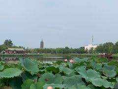 -西海子公园
