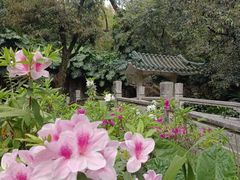 -广州兰圃