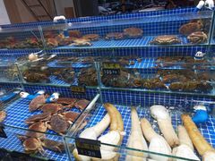 水产区-板桥海鲜广场(文明东店)