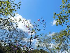 -云蒙山风景区