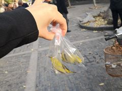 -东水关遗址公园