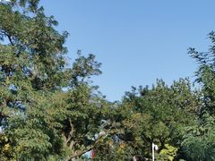 -贮水山儿童公园