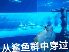 -亚特兰蒂斯水世界冒险乐园