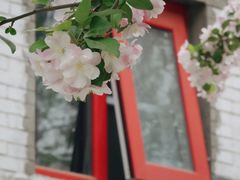 -海棠花溪(元大都城垣遗址公园)