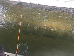 -会江钓鱼钓虾烧烤场