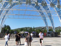 -大青山野生动物园