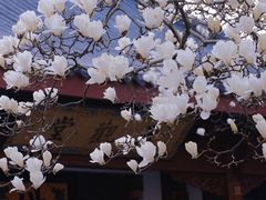 -杭州上天竺法喜讲寺