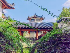 -广东花都湖国家湿地公园