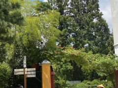 -龙华素斋(龙华路店)