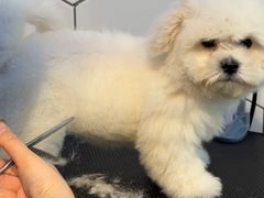 -萌兽医馆·眼科·异宠专科(三里屯店)