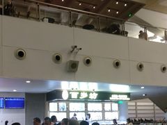 -厦门高崎国际机场-T3航站楼