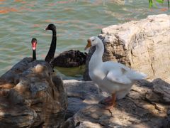 -天津东丽湖风景区