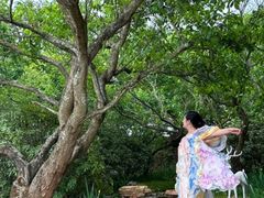 -名花谷生态庄园