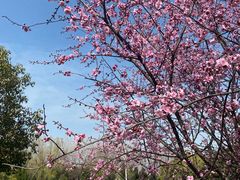 -祥源·阜阳生态乐园