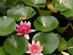 -陶然亭公园