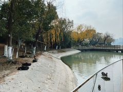 -东湖景区