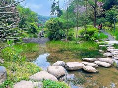-云溪植物园