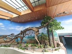 -延庆地质公园博物馆