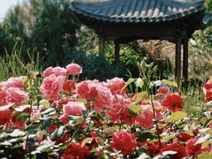 -三里河公园