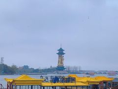 -溱湖国家湿地公园