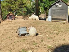 -山西乌金山旅游区