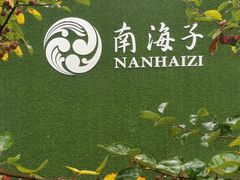 -南海子公园