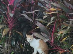 -宽板凳老灶火锅(南礼士路店)