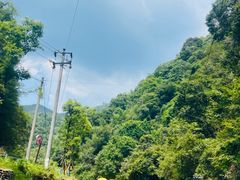 -大围山国家森林公园