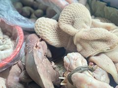 -东山矮马桶羊肉(太湖东山店)