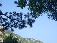 -崂山仰口游览区