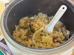 -一煲鸽