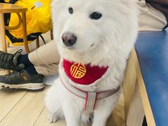 -OZ cafe(南昌路店)