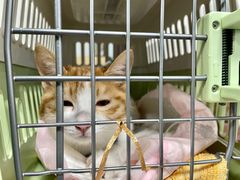 -北京赛佳动物医院