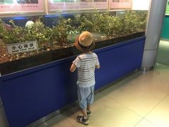 -上海昆虫博物馆