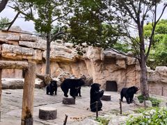 -上海野生动物园老虎餐厅