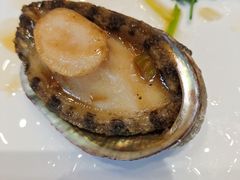 -丽苑大酒店