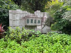 -广州神农草堂中医药博物馆