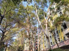 -华南师范大学(广州大学城校区)