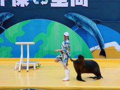 -秦皇岛乐岛海洋王国