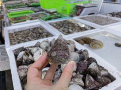 -外伶仃岛海鲜市场